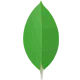 MongoDB